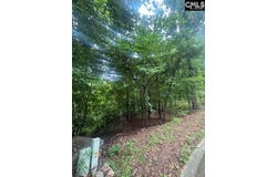 308 Bryars Court, Lexington, SC 29072
