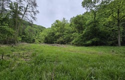Tr 3 BOATMANS MOUNTAIN-TR-3, Morristown, TN 37814