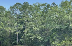 2519 Greers Ferry Rd, Greers Ferry, AR 72067