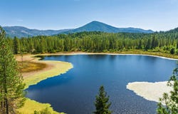 4990 Waldo Road, Cave Junction, OR 97523