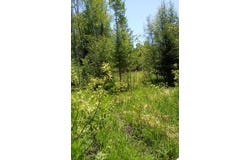 (A) Gager Rd, Engadine, MI 49827