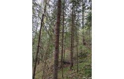 TBD Victoria Dam, Rockland, MI 49960