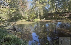 0TBD Kelly Mill Rd, Stuart, VA 24171