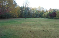 8197 DETOUR ROAD, DENTON, MD 21629