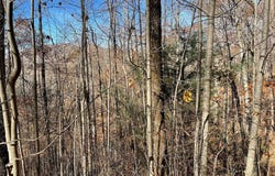 Lot 49j Indian Trail, Hayesville, NC 28904