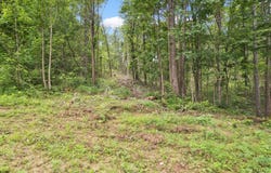 0 Black Hollow Road, Peebles, OH 45660