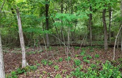 5671 Willow Point Lane, Harrison, TN 37341