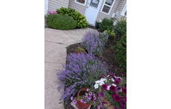 11297 56th Avenue, Allendale, MI 49401