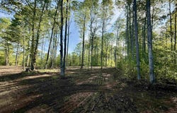 1155 E Solaris Way, Maple City, MI 49664