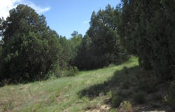 10445 & 3 NM 337 Highway, Tijeras, NM 87059