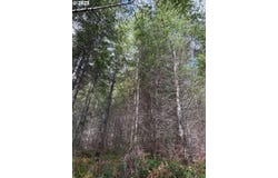 Boiler Creek Rd, Springfield, OR 97478