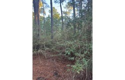 103 Lake Point Way, Bastrop, TX 78602