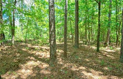 0 Pebble Hills Road, Cochran, GA 31014