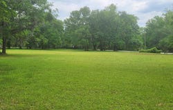 11072 Tung Grove Road, Tallahassee, FL 32317