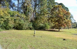 Tract #2 Long St., Waskom, TX 75692