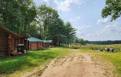 2599 N Pine Avenue, White Cloud, MI 49349
