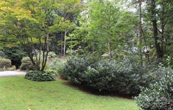 2832 Laurel Lane, Lenoir, NC 28645
