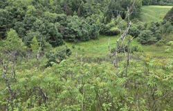 VT Route 14 S, Randolph, VT 05060