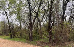 246 4th Street, Cooper, TX 75432