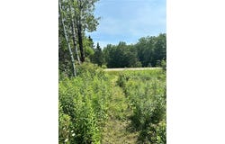9.19 Acres 105th Avenue, Jim Falls, WI 54727