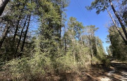 Lots 12,15,16, Coon Bottom Est, Ponce De Leon, FL 32455