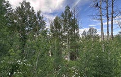162 Double Diamond Drive, Durango, CO 81301