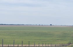 Wiggins, CO 80654