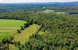 Grange Road, Honesdale, PA 18431