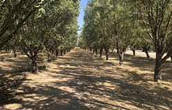 W Marinette Avenue, Exeter, CA 93221