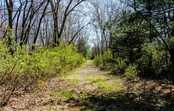 5742 Hilltop Drive, Strasburg, OH 44680