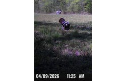 105 AC. BIG ROCK Trl, Henderson, TN 38340