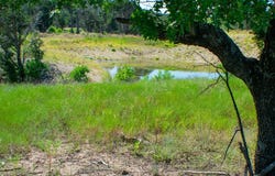 0000 Cr 194, Ovalo, TX 79562