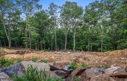 16316 SUMNEY DRIVE, HAYMARKET, VA 20169
