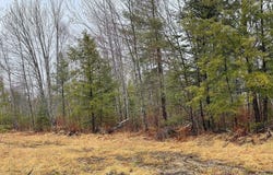 4 Mattamiscontis Road, Howland, ME 04448