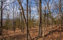 Dinsmore  TR, Fayetteville, AR 72701