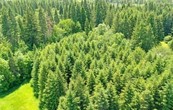0000 Keasey RD, Vernonia, OR 97064