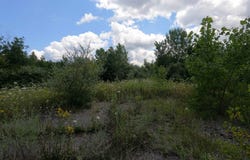 12 Lots For Sale on Mill Street lot: 284, 285, 62, 64, 65, 66, 67, 68, 69, 70, 71, 72, Templeton, MA 01436