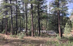 53 Snowdrop Ct. (Lot 140), Durango, CO 81301