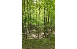 0 Butternut Lane, Jay, NY 12941