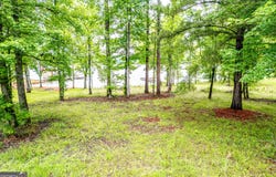 Lot 70 Lake Crest, Sparta, GA 31087