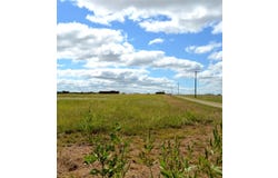 2055 CR 2185 (20), Klondike, TX 75448