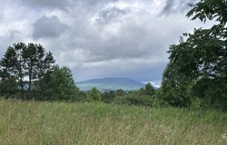 Tower Rd, Grandview, TN 37337