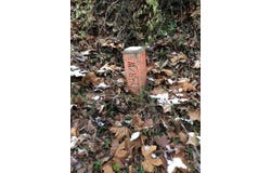 Rye Branch (DB 225, DP 424-433), Gunlock, KY 41632