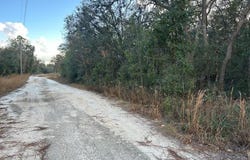 73rd Ln, Bronson, FL 32621