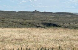 74 Log Creek Road, Miles City, MT 59301