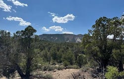2519 Green Shadows Road, Durango, CO 81303