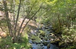 Oak Ridge RD, White Salmon, WA 98672