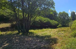 38 Creek Rd., Julian, CA 92036