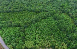 292 Overlook Dr lot: 20, Spencer, TN 38585