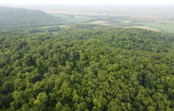 78+/- Acres TBD W Blanding, HANOVER, IL 61041